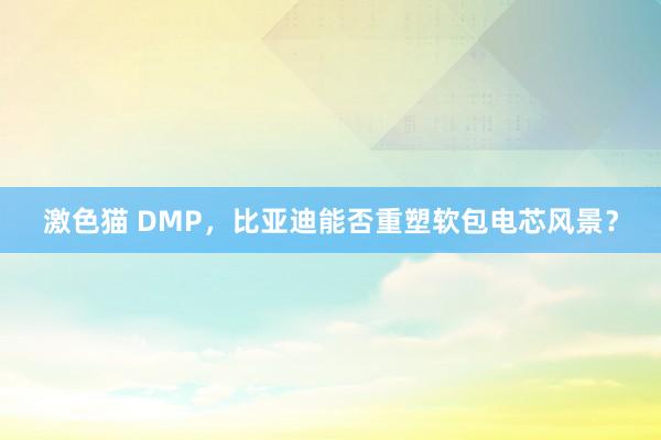 激色猫 DMP，比亚迪能否重塑软包电芯风景？