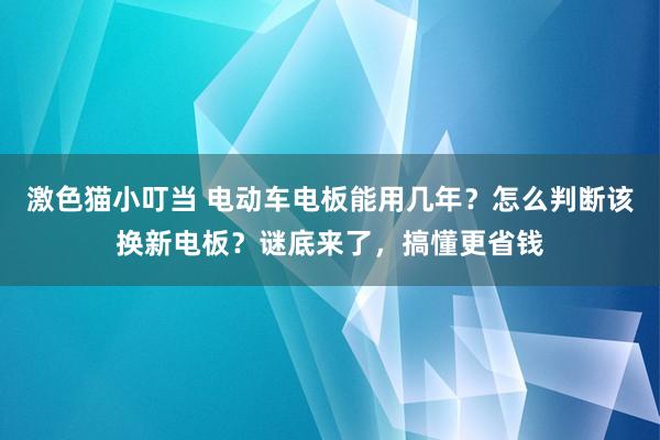 激色猫小叮当 电动车电板能用几年？怎么判断该换新电板？谜底来了，搞懂更省钱