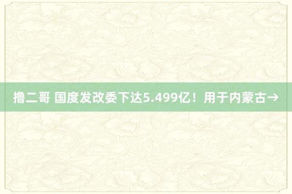 撸二哥 国度发改委下达5.499亿！用于内蒙古→