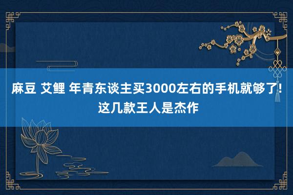 麻豆 艾鲤 年青东谈主买3000左右的手机就够了! 这几款王人是杰作