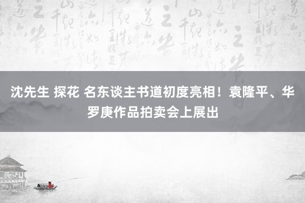 沈先生 探花 名东谈主书道初度亮相！袁隆平、华罗庚作品拍卖会上展出