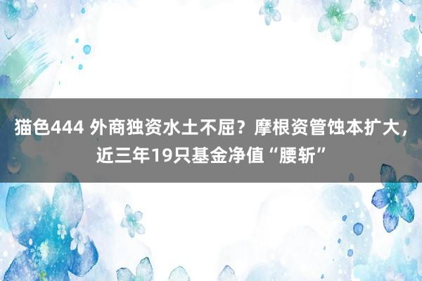 猫色444 外商独资水土不屈？摩根资管蚀本扩大，近三年19只基金净值“腰斩”