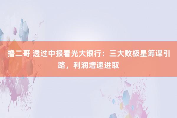 撸二哥 透过中报看光大银行：三大败极星筹谋引路，利润增速进取