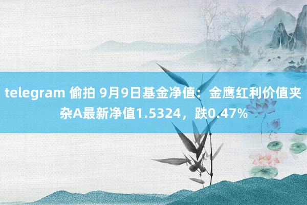 telegram 偷拍 9月9日基金净值：金鹰红利价值夹杂A最新净值1.5324，跌0.47%