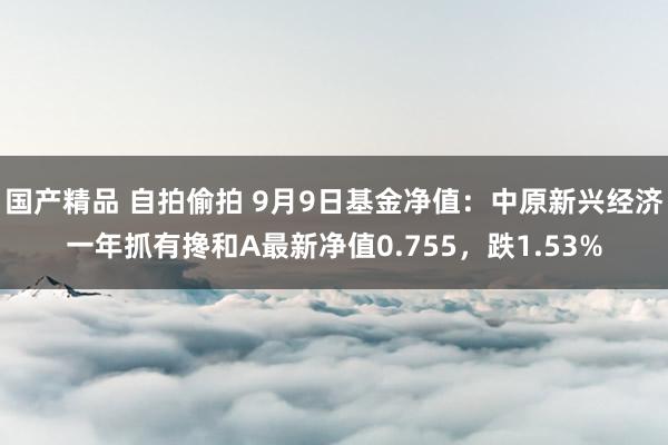 国产精品 自拍偷拍 9月9日基金净值：中原新兴经济一年抓有搀和A最新净值0.755，跌1.53%