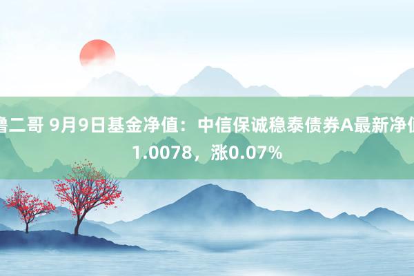 撸二哥 9月9日基金净值：中信保诚稳泰债券A最新净值1.0078，涨0.07%