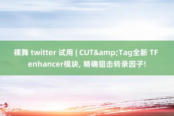 裸舞 twitter 试用 | CUT&Tag全新 TF enhancer模块， 精确狙击转录因子!