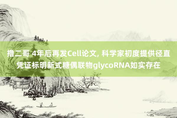 撸二哥 4年后再发Cell论文， 科学家初度提供径直凭证标明新式糖偶联物glycoRNA如实存在