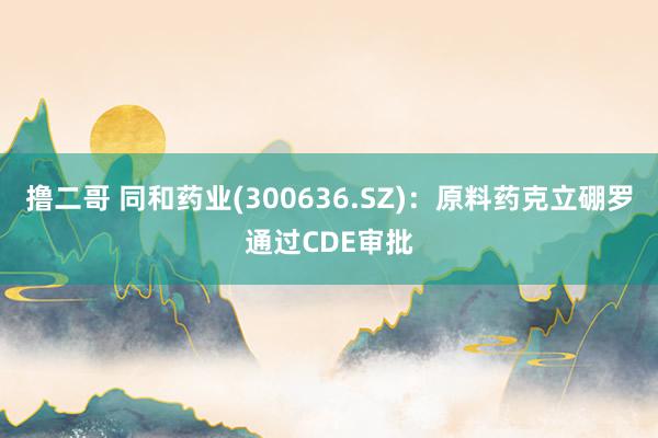 撸二哥 同和药业(300636.SZ)：原料药克立硼罗通过CDE审批