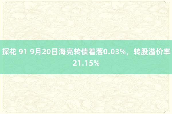 探花 91 9月20日海亮转债着落0.03%，转股溢价率21.15%