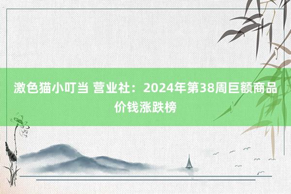 激色猫小叮当 营业社：2024年第38周巨额商品价钱涨跌榜