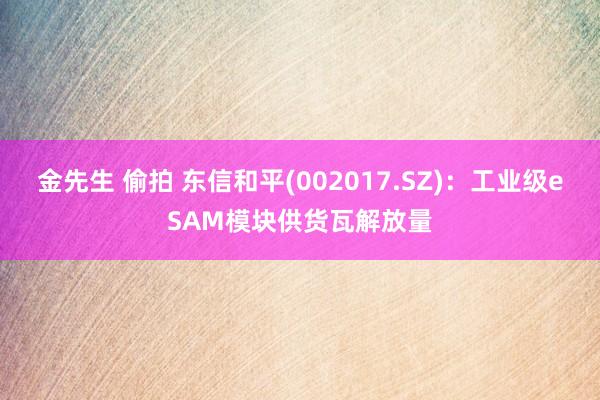 金先生 偷拍 东信和平(002017.SZ)：工业级eSAM模块供货瓦解放量