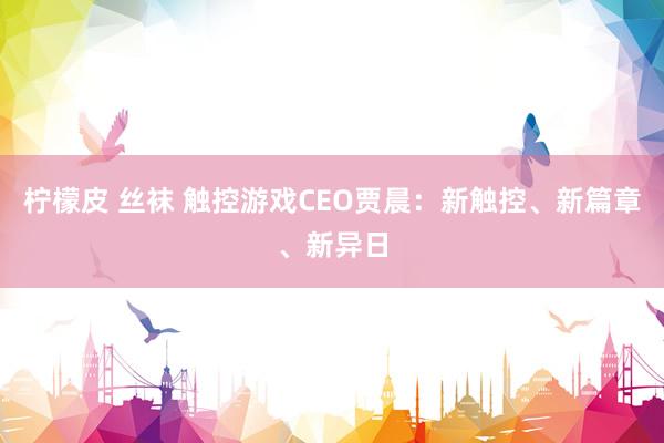 柠檬皮 丝袜 触控游戏CEO贾晨：新触控、新篇章、新异日