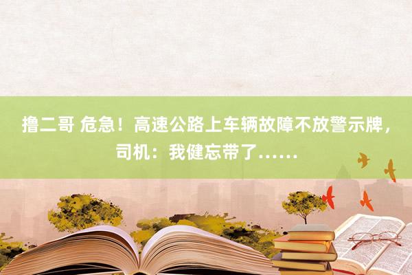 撸二哥 危急！高速公路上车辆故障不放警示牌，司机：我健忘带了……