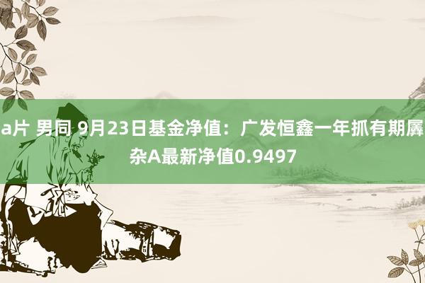 a片 男同 9月23日基金净值：广发恒鑫一年抓有期羼杂A最新净值0.9497