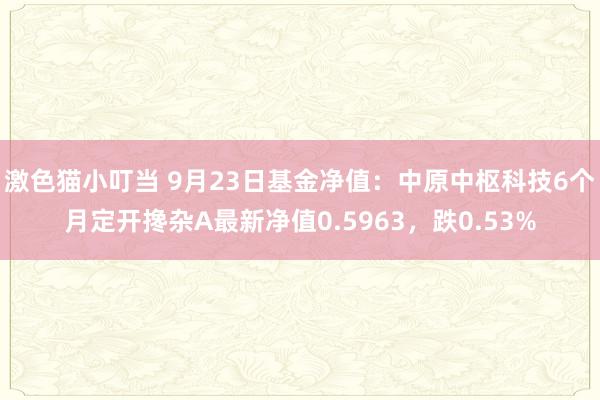 激色猫小叮当 9月23日基金净值：中原中枢科技6个月定开搀杂A最新净值0.5963，跌0.53%