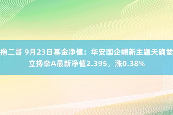 撸二哥 9月23日基金净值：华安国企翻新主题天确凿立搀杂A最新净值2.395，涨0.38%