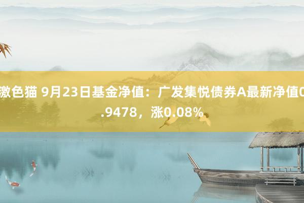 激色猫 9月23日基金净值：广发集悦债券A最新净值0.9478，涨0.08%