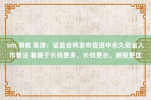 sm 调教 吴清：证监会将发布促进中永久资金入市看法 着眼于长钱更多、长钱更长、酬报更优