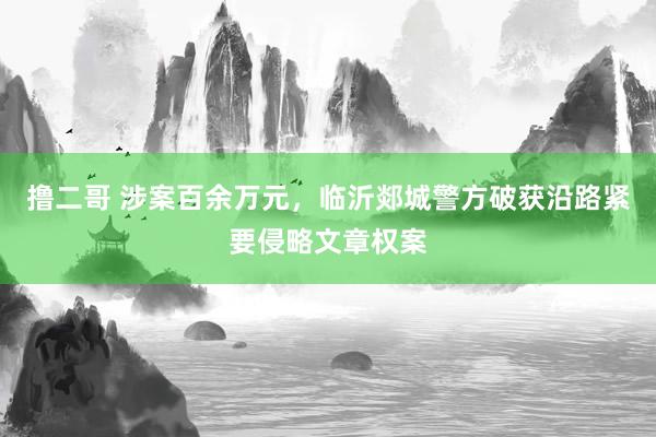 撸二哥 涉案百余万元，临沂郯城警方破获沿路紧要侵略文章权案