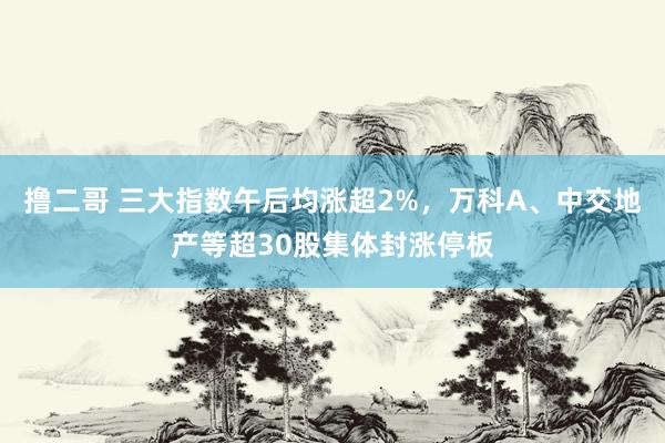 撸二哥 三大指数午后均涨超2%，万科A、中交地产等超30股集体封涨停板