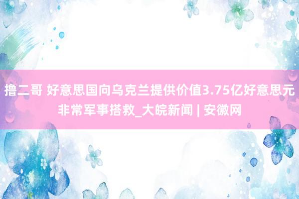 撸二哥 好意思国向乌克兰提供价值3.75亿好意思元非常军事搭救_大皖新闻 | 安徽网