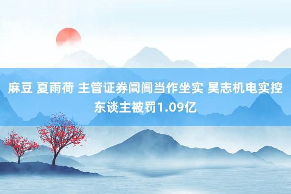 麻豆 夏雨荷 主管证券阛阓当作坐实 昊志机电实控东谈主被罚1.09亿