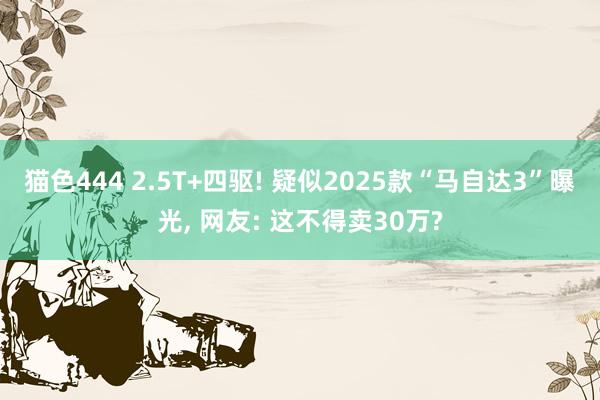 猫色444 2.5T+四驱! 疑似2025款“马自达3”曝光， 网友: 这不得卖30万?