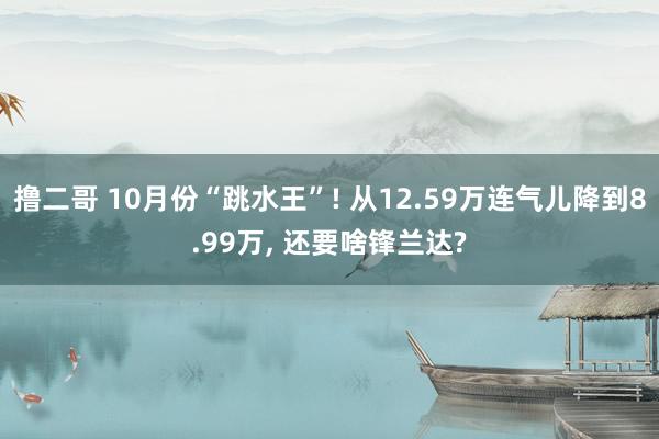 撸二哥 10月份“跳水王”! 从12.59万连气儿降到8.99万， 还要啥锋兰达?