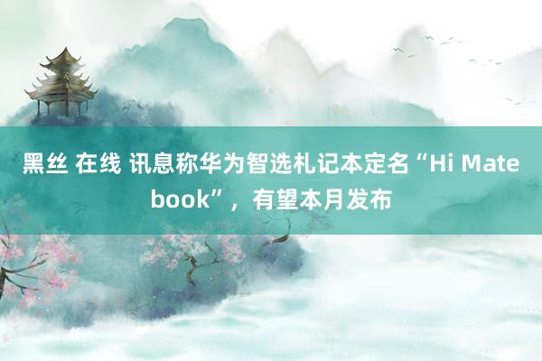 黑丝 在线 讯息称华为智选札记本定名“Hi Matebook”，有望本月发布