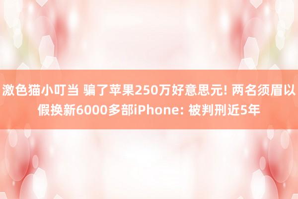 激色猫小叮当 骗了苹果250万好意思元! 两名须眉以假换新6000多部iPhone: 被判刑近5年