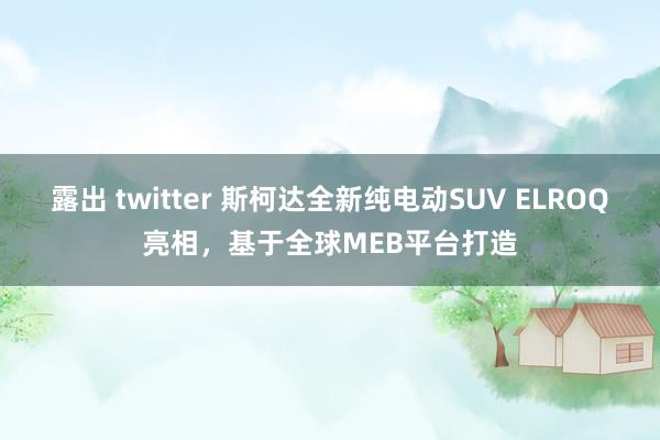 露出 twitter 斯柯达全新纯电动SUV ELROQ亮相，基于全球MEB平台打造