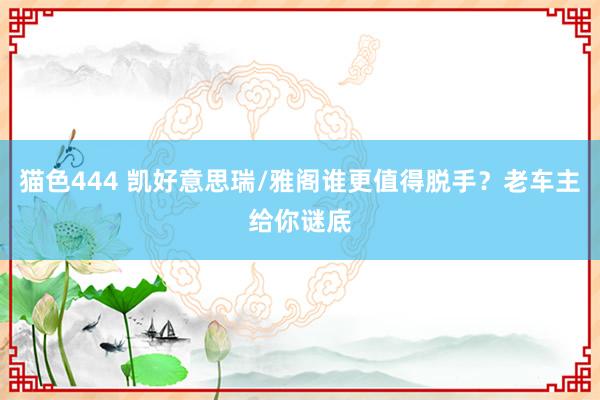 猫色444 凯好意思瑞/雅阁谁更值得脱手？老车主给你谜底