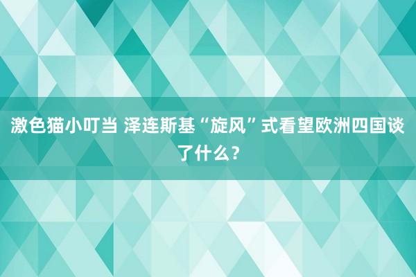 激色猫小叮当 泽连斯基“旋风”式看望欧洲四国谈了什么？