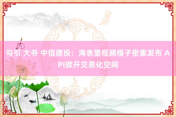 勾引 大爷 中信建投：海表里视频模子密集发布 API掀开交易化空间