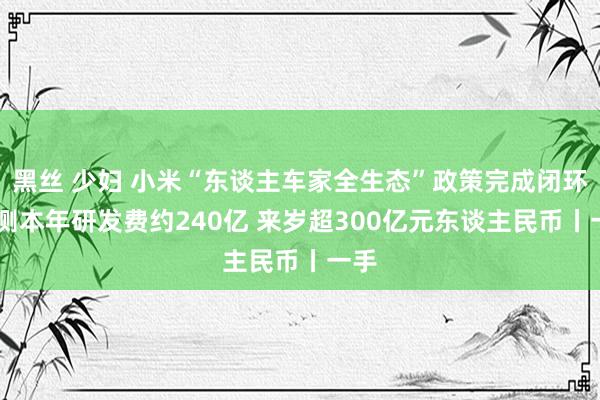 黑丝 少妇 小米“东谈主车家全生态”政策完成闭环 预测本年研发费约240亿 来岁超300亿元东谈主民币丨一手