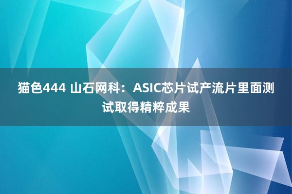 猫色444 山石网科：ASIC芯片试产流片里面测试取得精粹成果