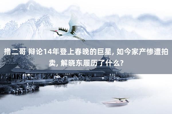 撸二哥 辩论14年登上春晚的巨星， 如今家产惨遭拍卖， 解晓东履历了什么?