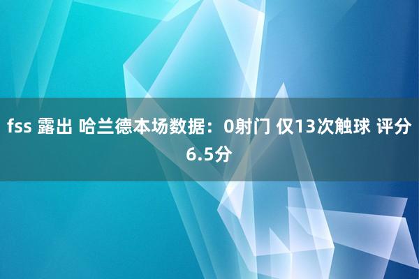 fss 露出 哈兰德本场数据：0射门 仅13次触球 评分6.5分