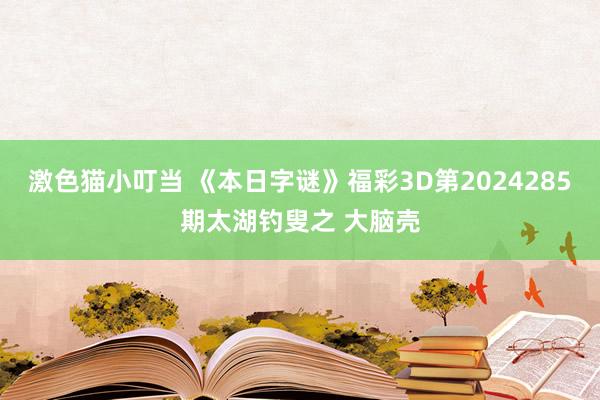 激色猫小叮当 《本日字谜》福彩3D第2024285期太湖钓叟之 大脑壳