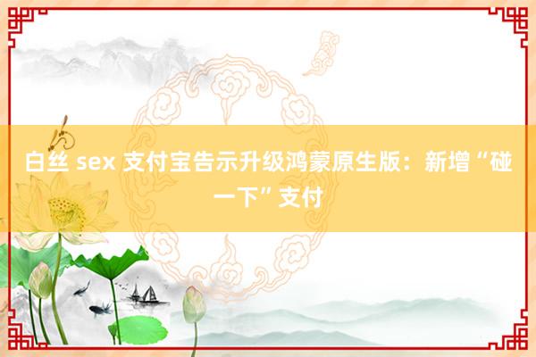 白丝 sex 支付宝告示升级鸿蒙原生版：新增“碰一下”支付