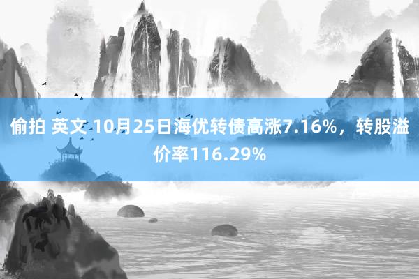 偷拍 英文 10月25日海优转债高涨7.16%，转股溢价率116.29%