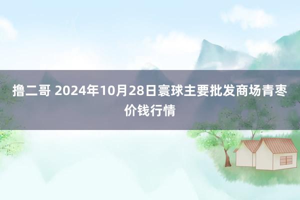 撸二哥 2024年10月28日寰球主要批发商场青枣价钱行情