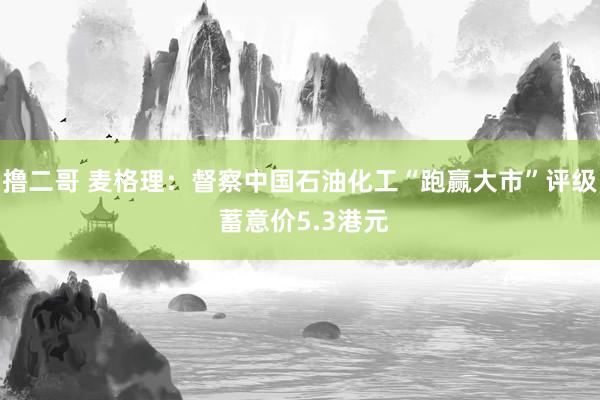 撸二哥 麦格理：督察中国石油化工“跑赢大市”评级 蓄意价5.3港元