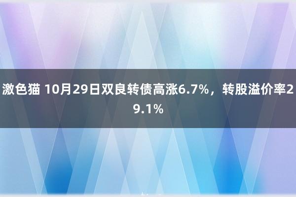 激色猫 10月29日双良转债高涨6.7%，转股溢价率29.1%