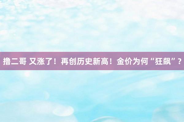 撸二哥 又涨了！再创历史新高！金价为何“狂飙”？