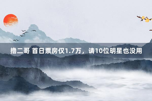 撸二哥 首日票房仅1.7万，请10位明星也没用