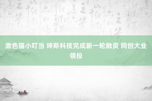 激色猫小叮当 珅斯科技完成新一轮融资 同创大业领投