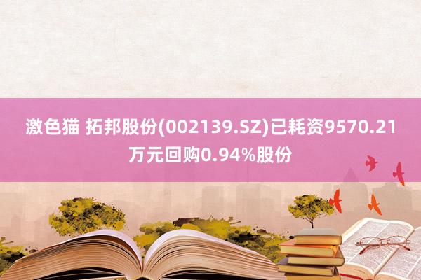 激色猫 拓邦股份(002139.SZ)已耗资9570.21万元回购0.94%股份