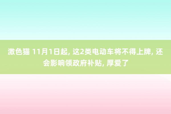 激色猫 11月1日起， 这2类电动车将不得上牌， 还会影响领政府补贴， 厚爱了